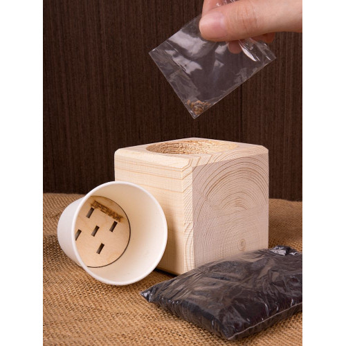 Набор для выращивания «Экокуб», ель голубая