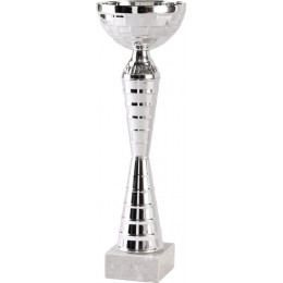 Кубок 9101B (31см) D-100