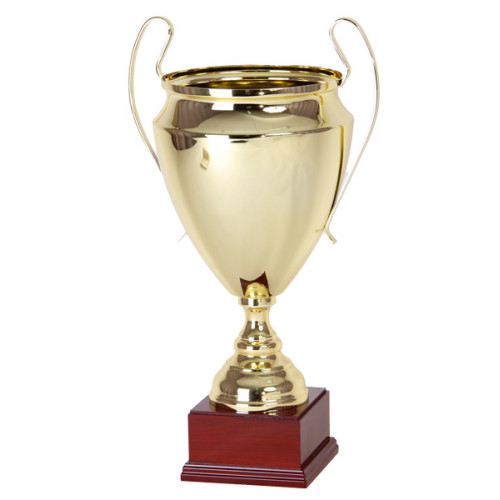 Кубок 2520A (59 см) D-240