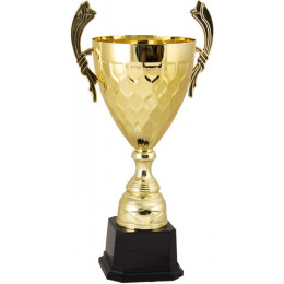 Кубок 2012C (48 см) D-180