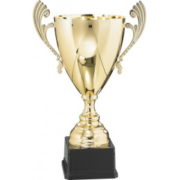 Кубок 3005A (46см) D-200