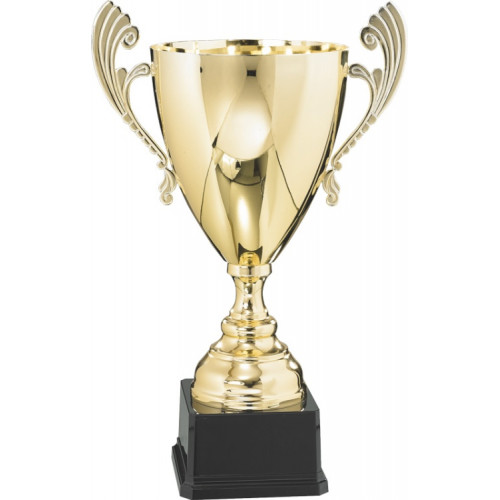 Кубок 3005A (46см) D-200