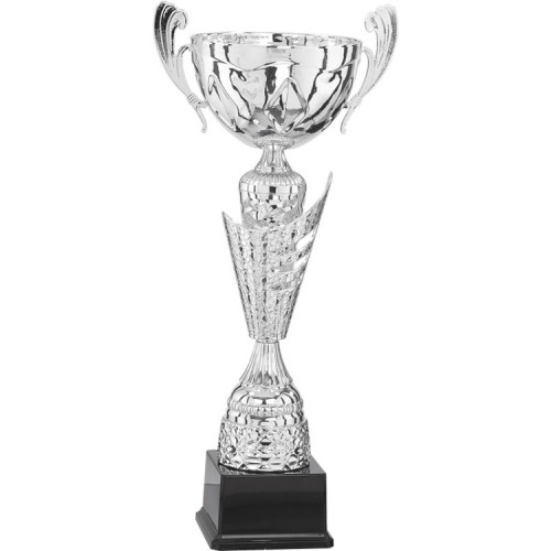 Кубок 4014A (49см) D-160