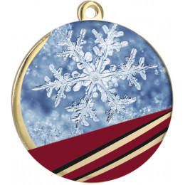 Медаль MMC5051/G/WIN